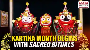 As part of the Radha Damodar Besha, Lord Balabhadra and Lord Jagannath will wear traditional Trikachha attire, along with golden ornaments known as Suvarnatali on their arms. The deities will also be adorned with various gold ornaments, Baralagi silk garments, floral decorations, Phuta Srikapada and Uttariya