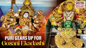 Puri will celebrate Gosani Ekadashi, with a ceremonial gathering of deities, known as Devi Sabha, scheduled at the Singhadwara of the Shree Jagannath Temple. Gosani idols from various neighbourhoods will be brought in processions to participate in the gathering, marking the culmination of the famous Gosani Yatra