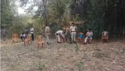 Mother elephant, calf found dead in Odisha's Hindol forest 