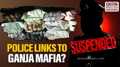 Authorities have seized 19 quintals of ganja in a major crackdown on the drug mafia. 