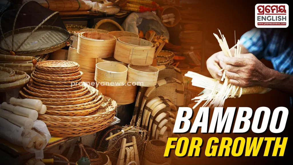 Odisha Plans 2 New Bamboo Clusters to Boost Jobs, Artisans & Livelihoods