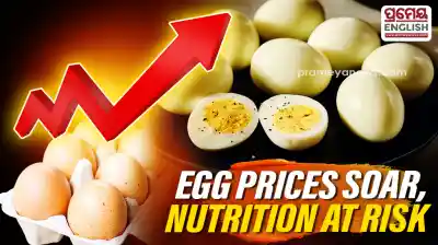 According to the All Odisha Non-Veg Traders' Association, a tray containing 210 eggs costs around Rs 1,270, putting the price at roughly Rs 6 per egg before transportation.