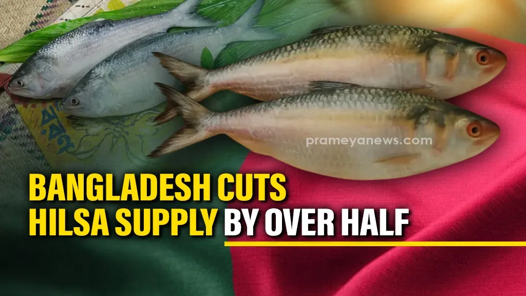Bangladesh Slashes Hilsa Export Quota to India Ahead of Durga Puja