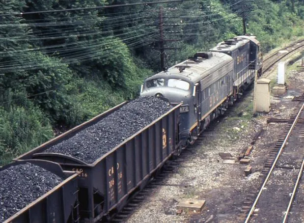 Odisha: Body of man found on coal-laden goods train at Paradip Port
