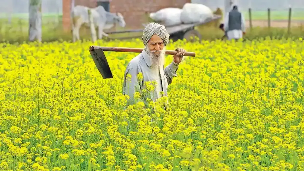 Top Scientists Urge PM Modi to Expedite Clearance for Stalled GM Mustard