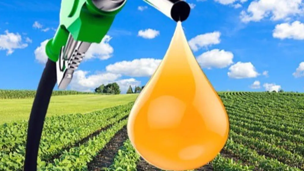 Indias Biodiesel Sector in Crisis Industry Turns to Supreme Court for Survival