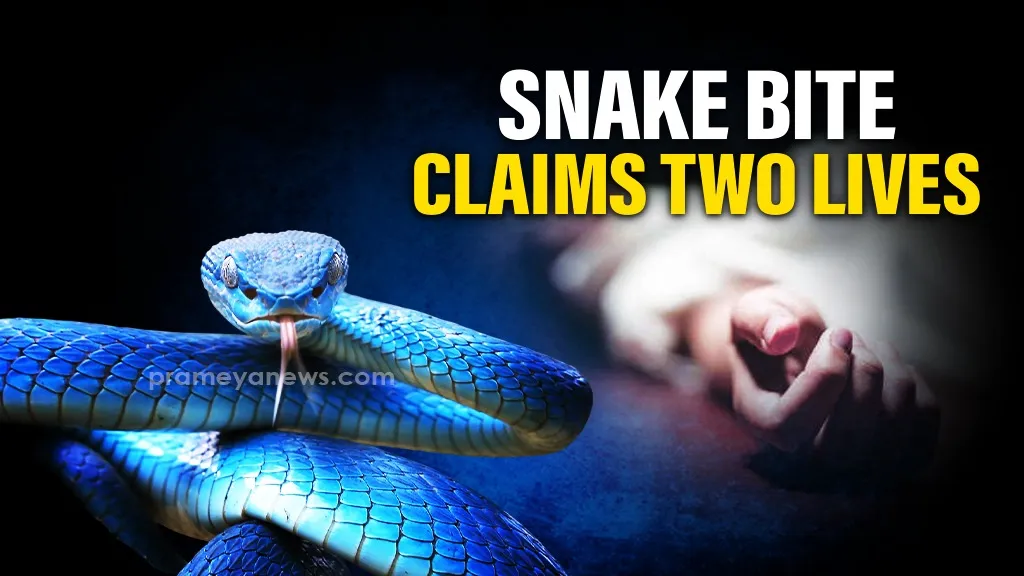Elderly woman, daughter die of snake bite in Odisha’s Keonjhar