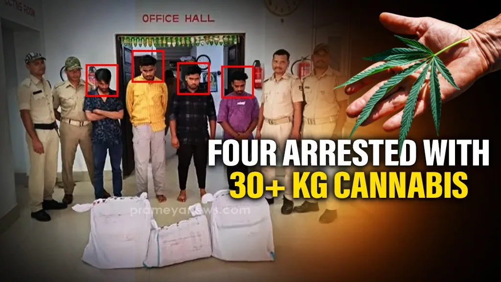 Four arrested with over 30 Kg of cannabis in Gosainnuagaon police raid