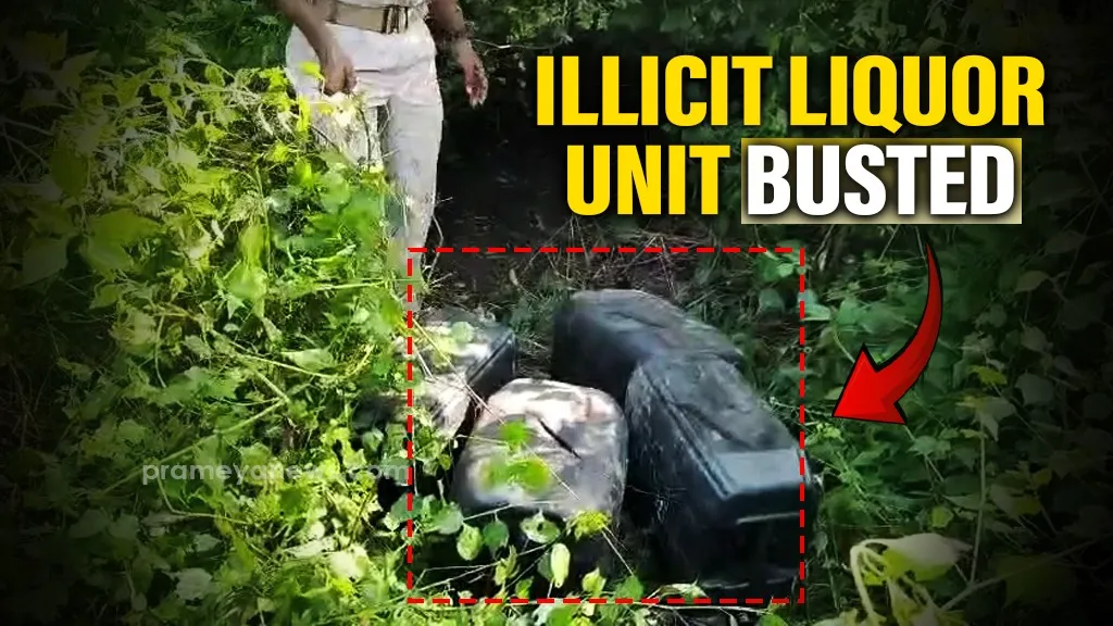Illicit liquor unit busted in Cuttack forest, 700 litres seized, over 4,000 litres destroyed
