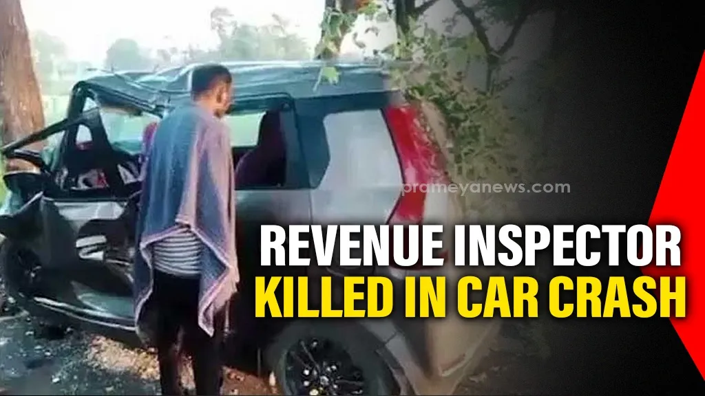 Odisha: Revenue Inspector killed, six injured as car crashes into tree in Angul