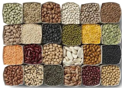 Union Cabinet approves mission for aatmanirbharta in pulses for 6 years

