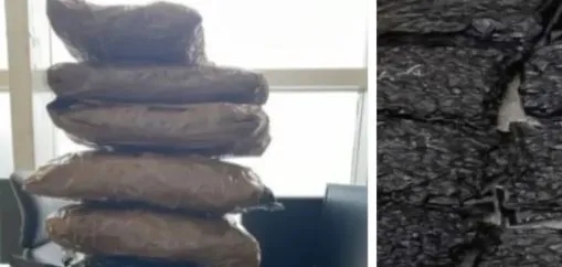 3.2 kg marijuana worth ₹3 crore seized at Bhubaneswar airport