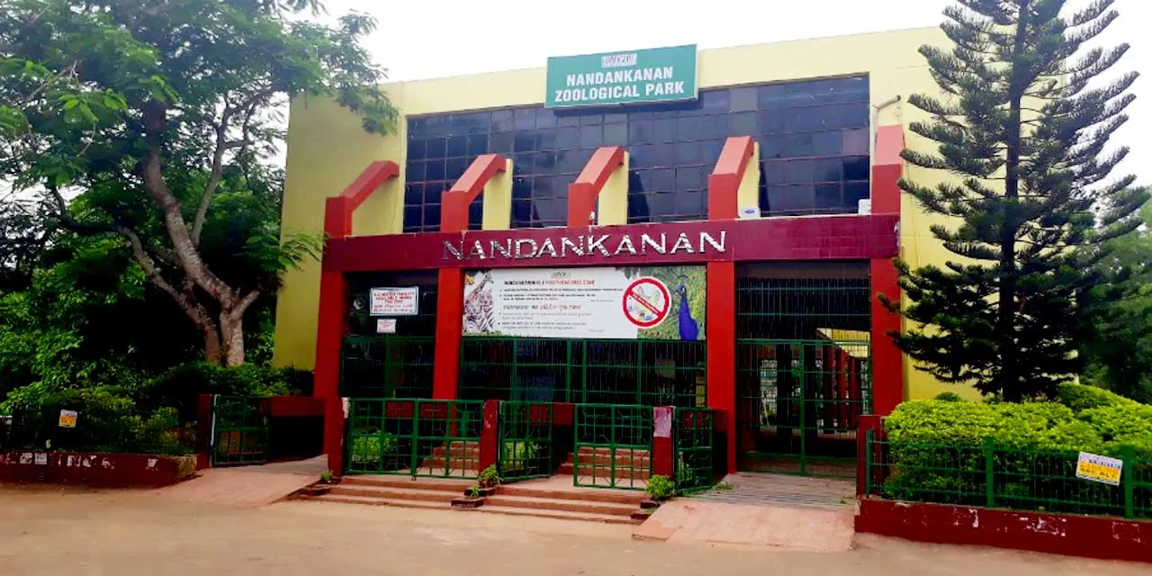 Nandankanan Zoo to exchange Bengal Tigers with Otters from Surat Zoo

