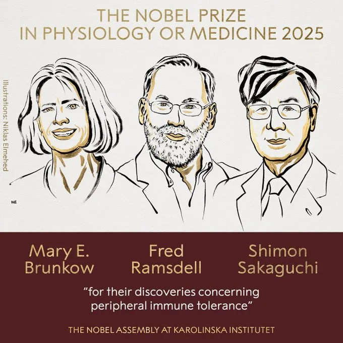 Mary E. Brunkow, Fred Ramsdell and Shimon Sakaguchi to get Nobel Prize in Medicine 2025