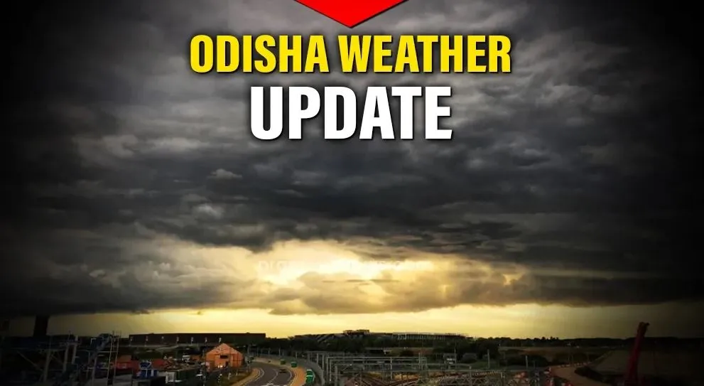 Rain, thunderstorms likely in parts of Odisha over next three days: IMD