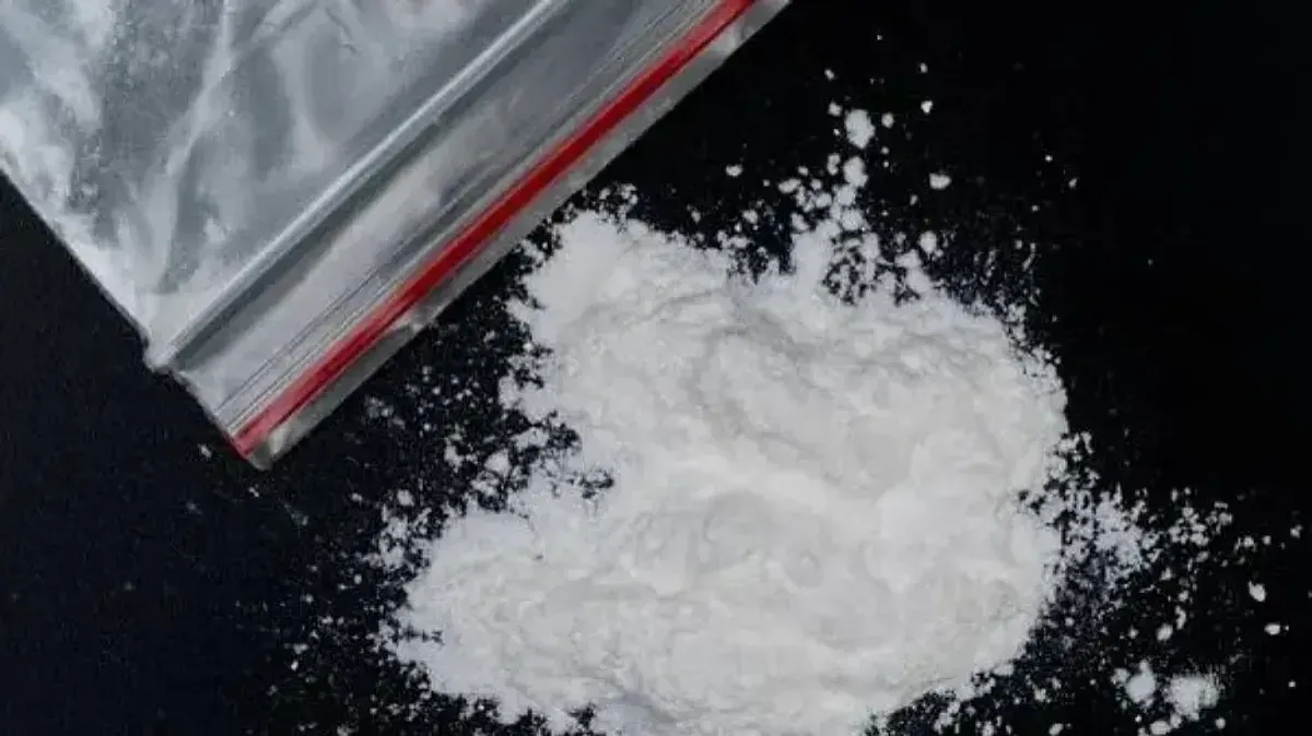 Odisha Excise Department seizes brown sugar worth Rs 16.5 lakh, two drug peddlers arrested

