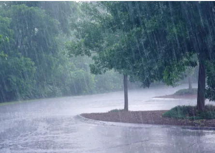 Heavy rain likely to occur across several districts of Odisha for next three days
