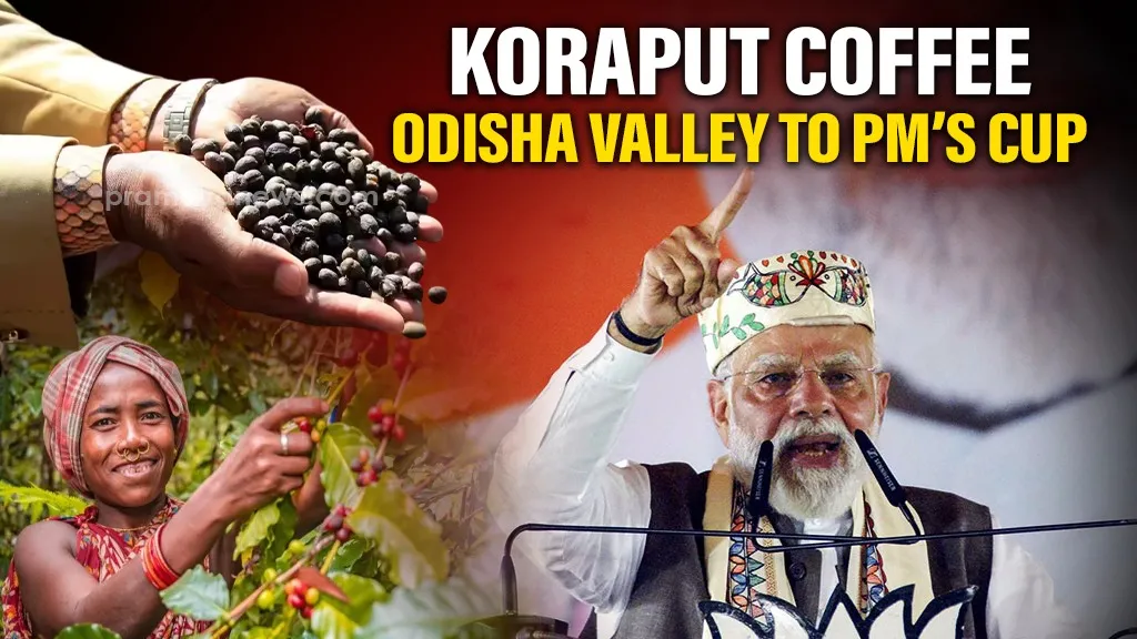 Koraput Coffee: Homegrown brew of Odisha now spurs aroma from the Semiliguda valley to Modi’s cup!