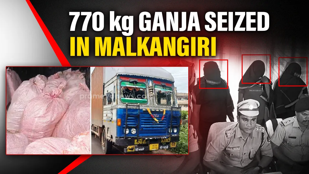 Odisha: 770 kg ganja seized from container truck in Malkangiri, three held