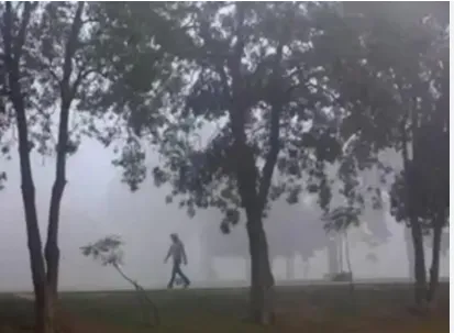 Cyclone Montha: 25 Odisha locations report heavy rainfall, IMD issues warnings