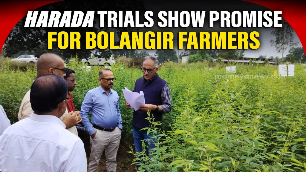 bengaluru-mahalakshmi-murder-suspect-dies-in-odishas-bhadrak-village-police-probe-suicide