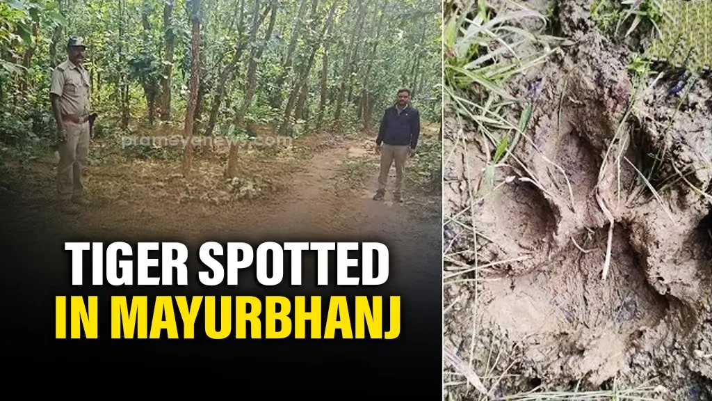 former-bigg-boss-11-season-contestant-files-fir-alleging-rape-by-friend-in-delhi