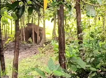 odishas-hpc-produces-another-medal-winner-in-lifting