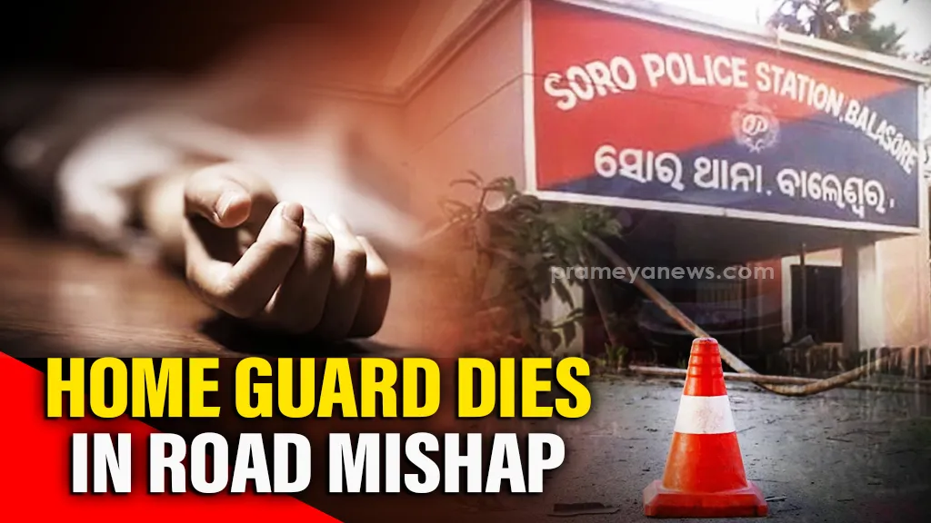 Odisha: Home guard working at Soro police station dies after being hit by truck