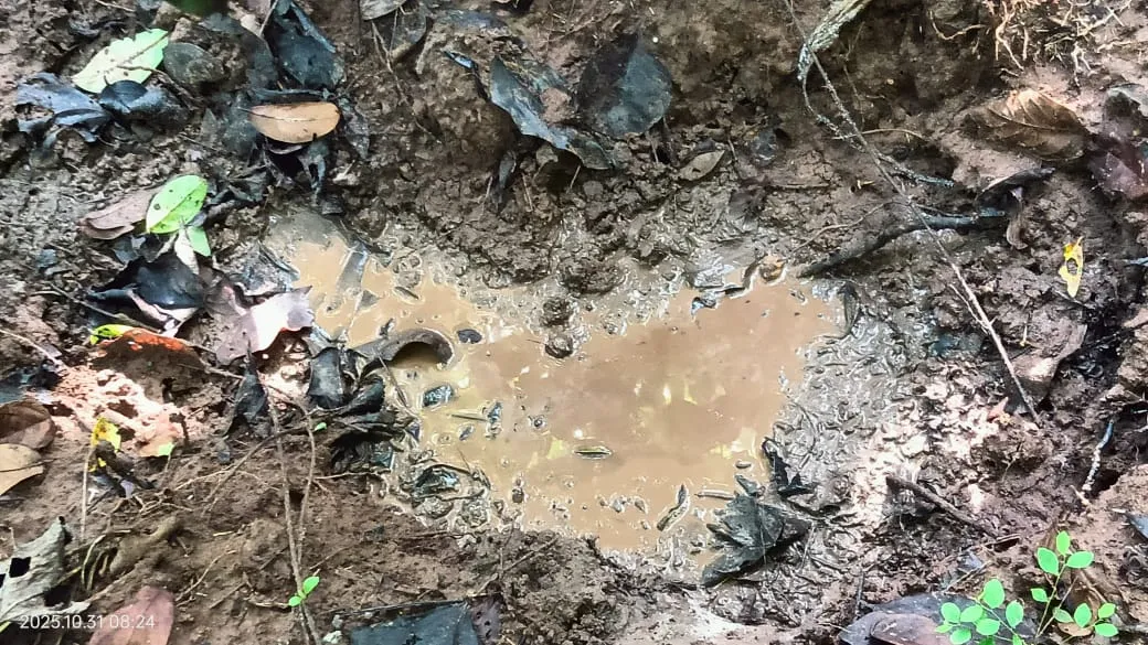 3rd-odi-india-beat-england-by-7-runs-to-win-series