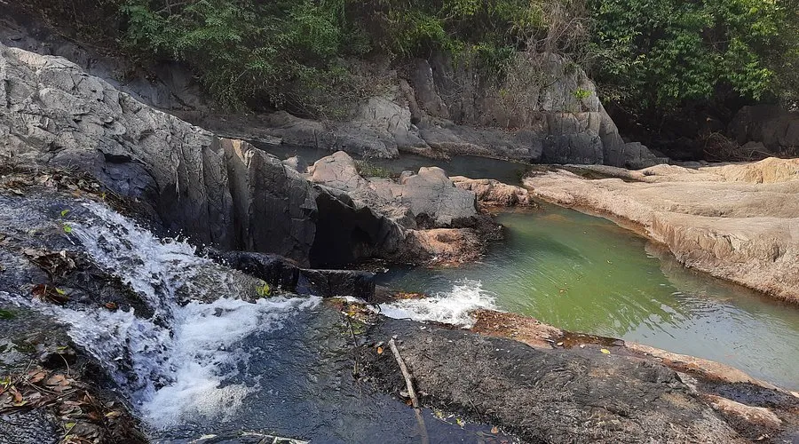 Kuldiha Wildlife Sanctuary reopens for tourist season after six-month closure