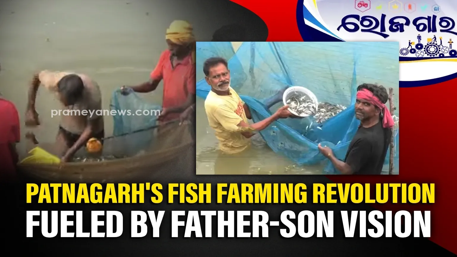 Former Lecturer Transforms Small Pond into Thriving Aquaculture Empire