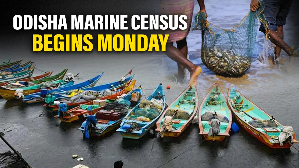 Marine fisher census to begin Monday across six coastal districts of Odisha