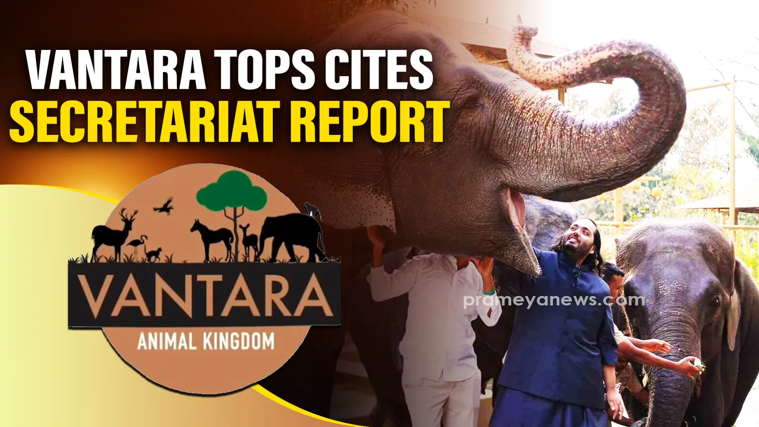 CITES Visit Confirms Vantara's Ethical Practices and Advanced Vet Care