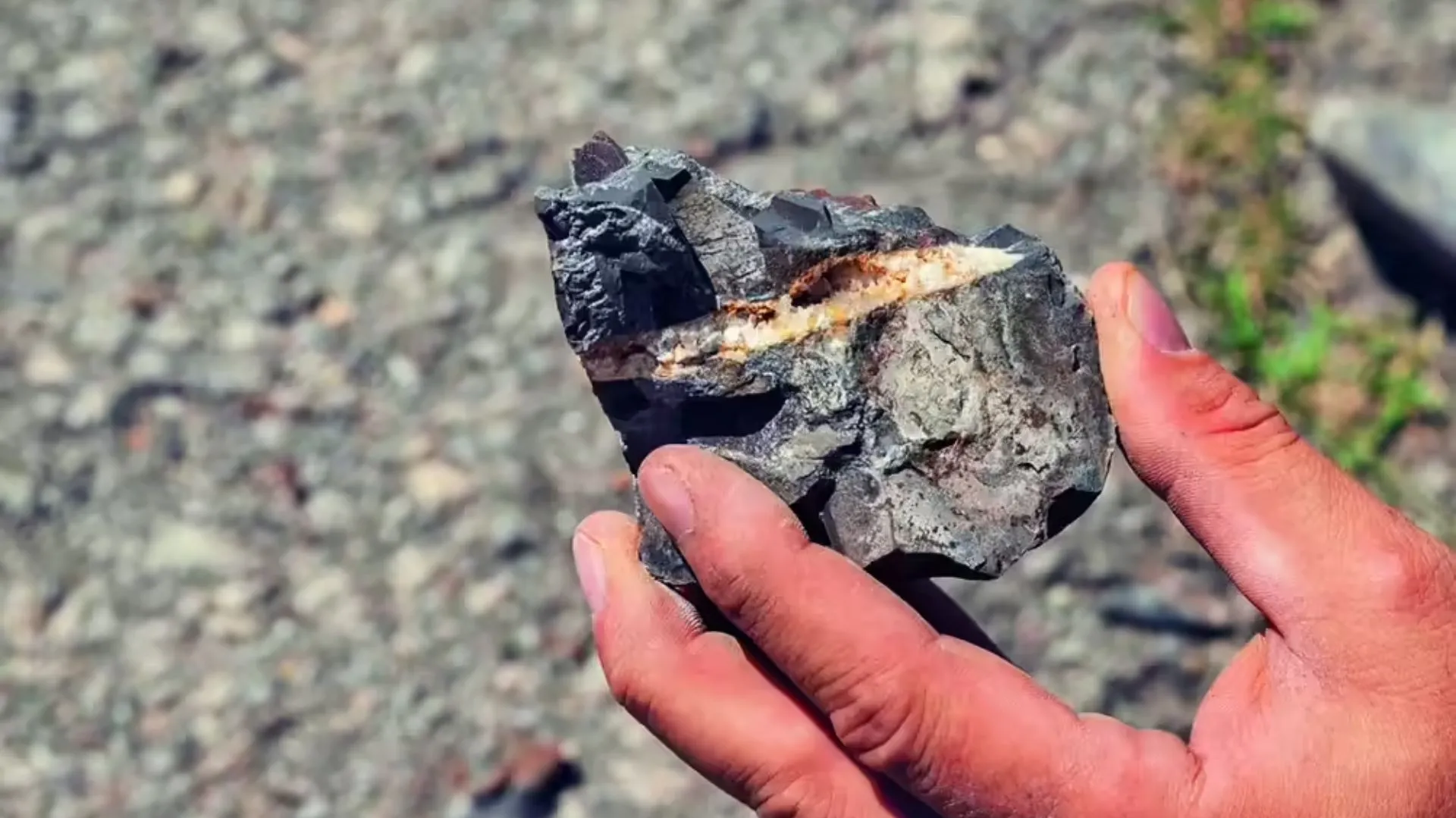 doordarshan-tv-anchor-falls-faint-amid-reading-news-remains-blackout-for-long-time-