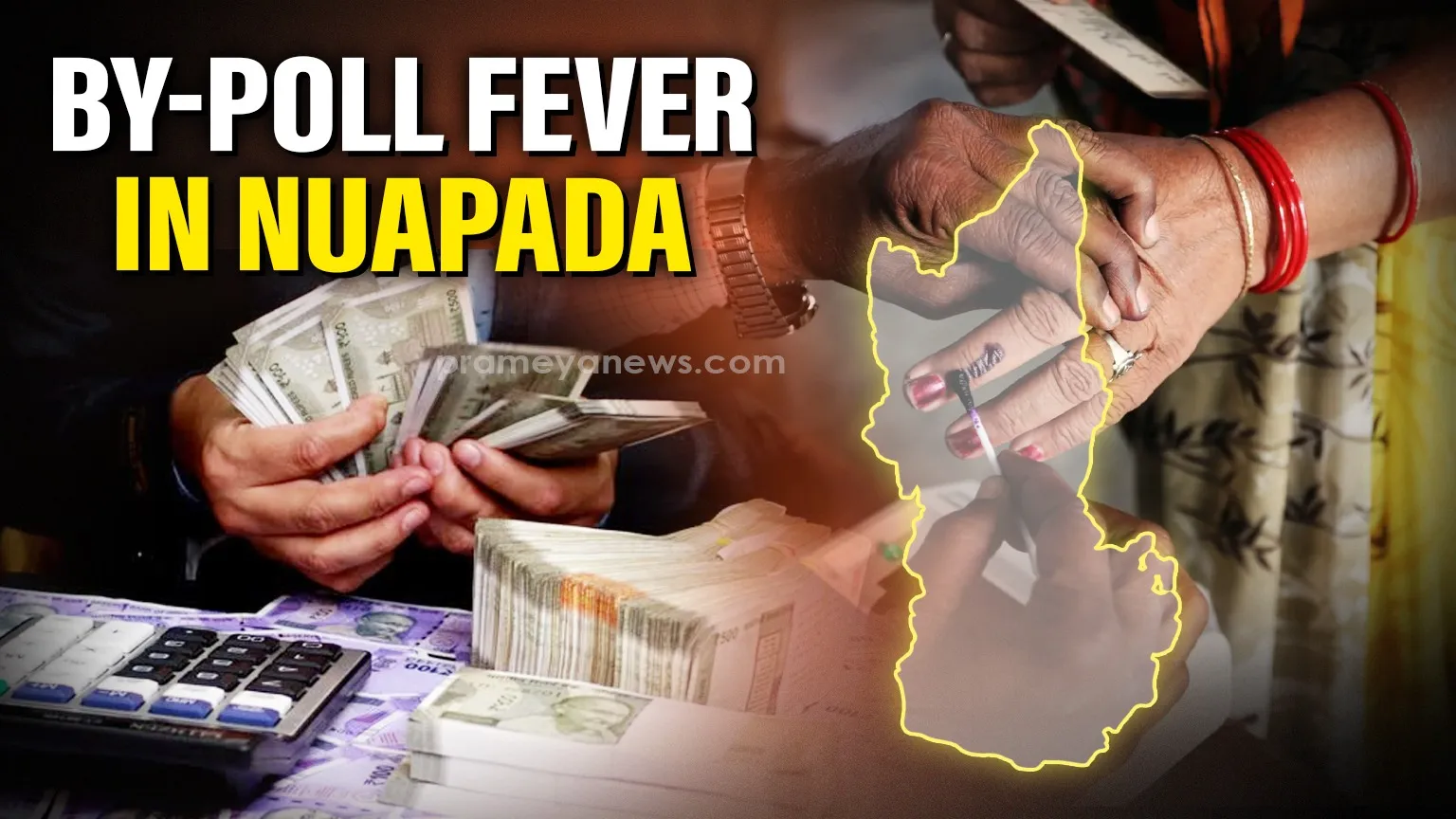 odisha-brown-planthoppers-destroy-paddy-crops-in-balangir