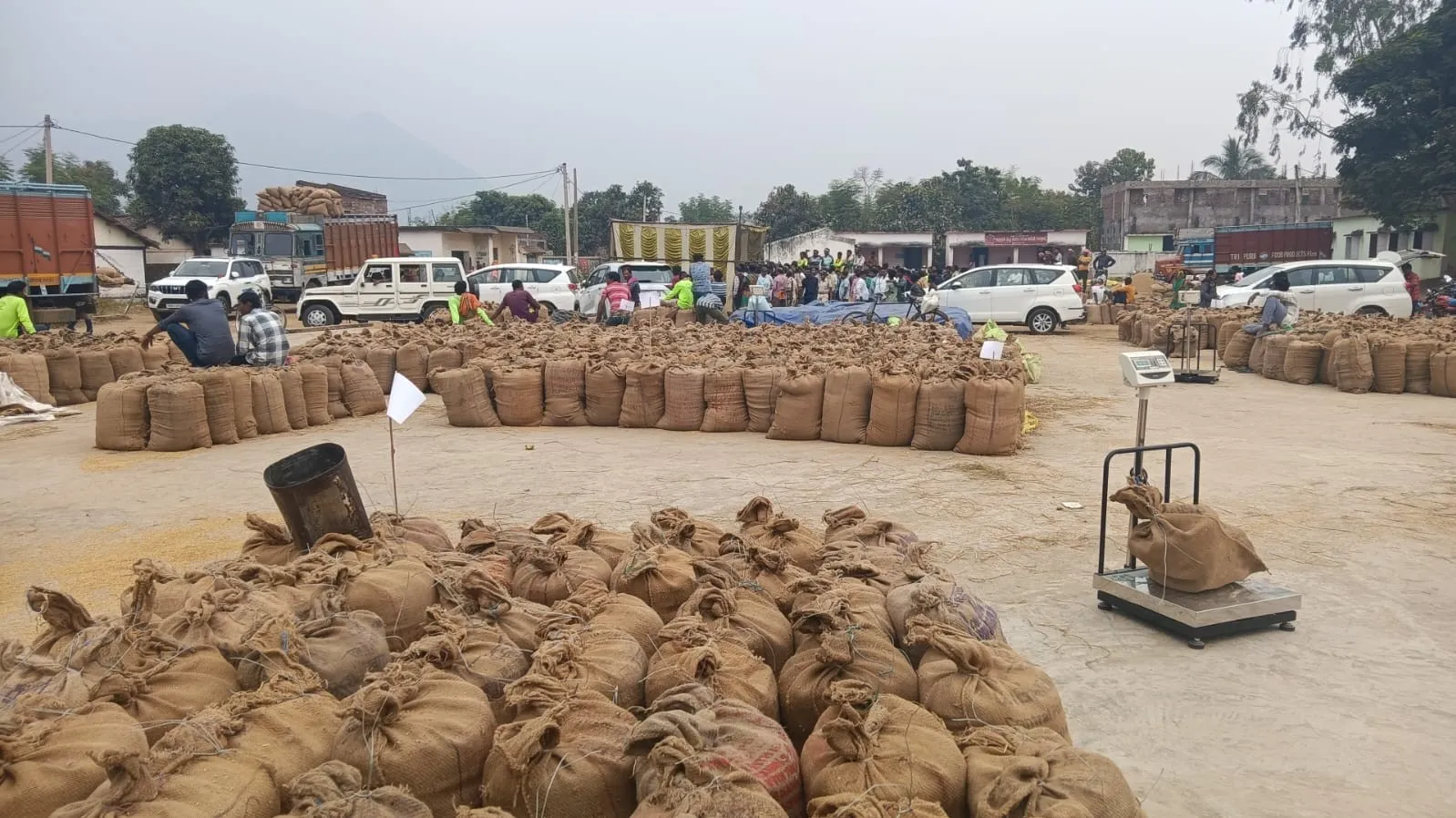 Odisha Govt increases MSP for Paddy to Rs 3,169 per quintal for Kharif 2025