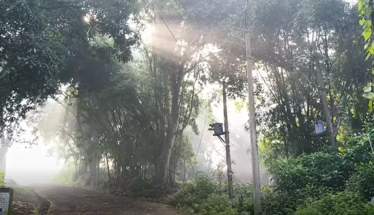 india-inc-will-rise-to-the-occasion-asserts-mahindra