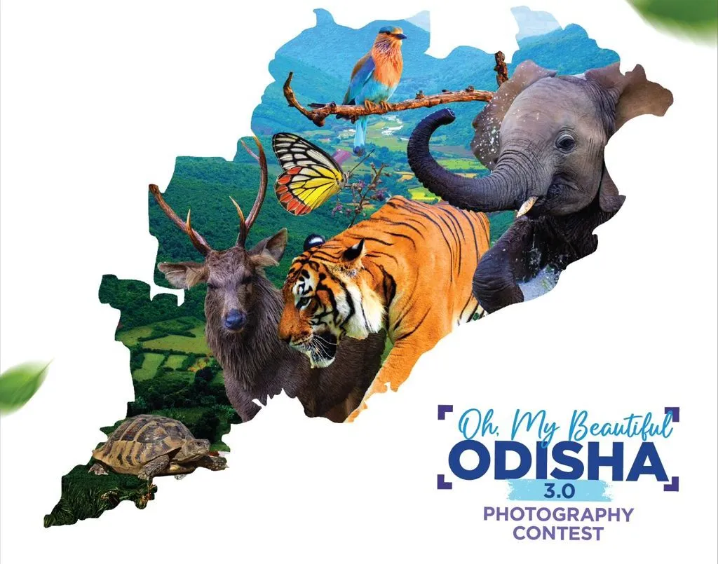 criminal-encountered-hours-after-he-fired-at-another-person-in-ganjam