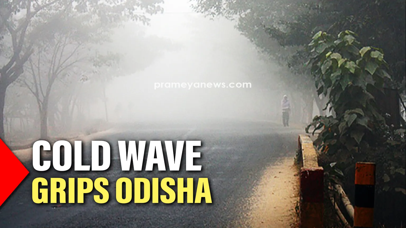 Cold wave grips Odisha, eight places record temperatures below 15°C