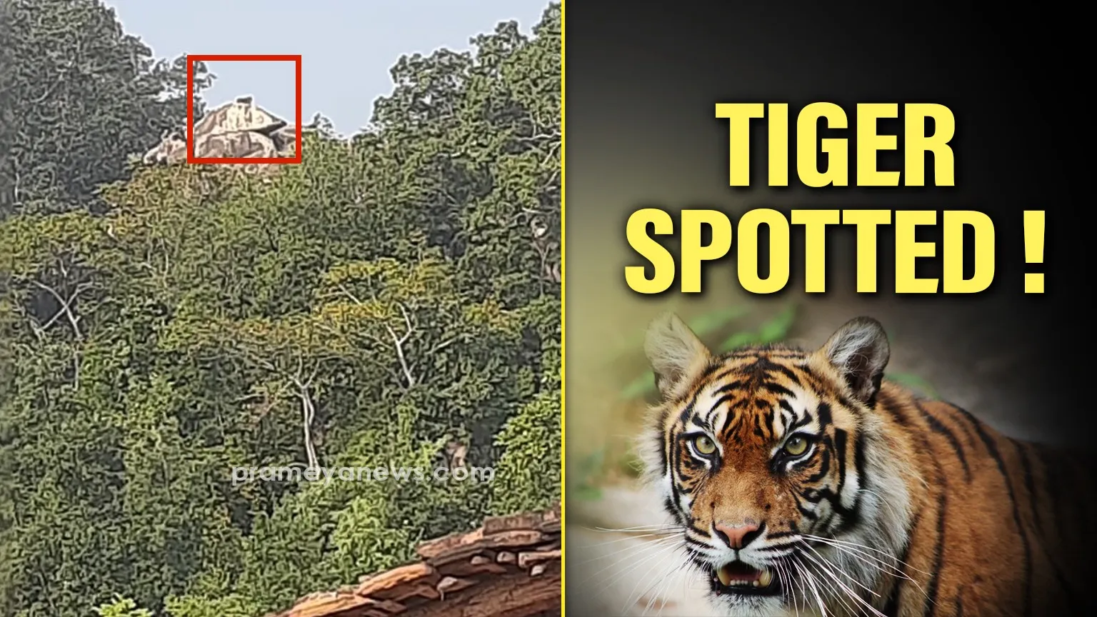 647-new-corona-cases-detected-in-khordha-check-district-wise-list