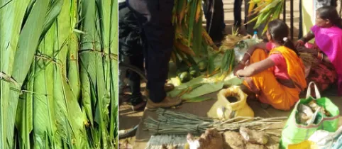 dgca-begins-probe-into-raipur-chopper-crash