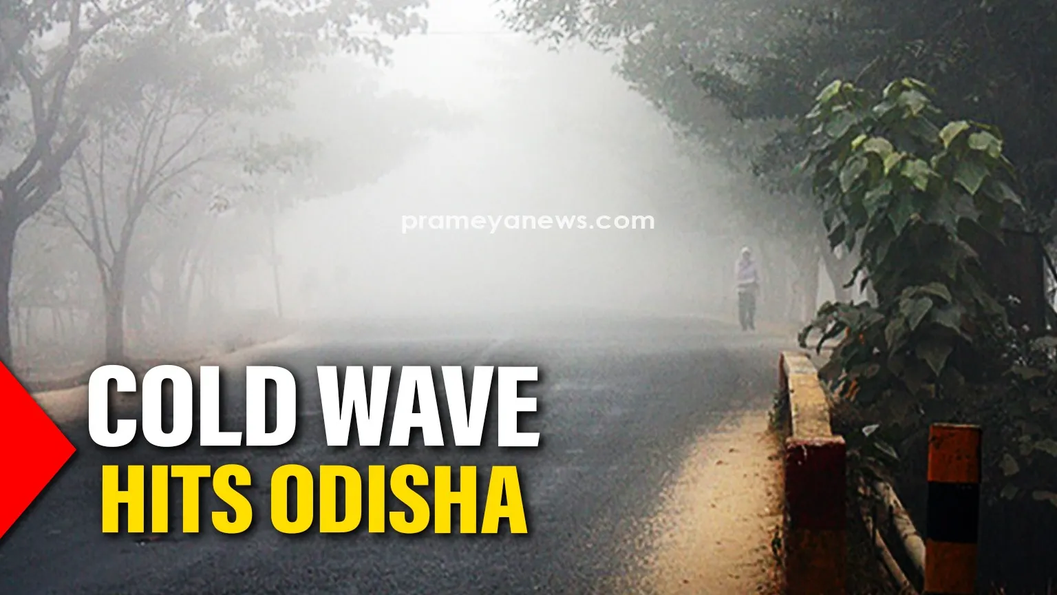 Cold wave grips Odisha: Mercury dips below 10°C for the first time this season
