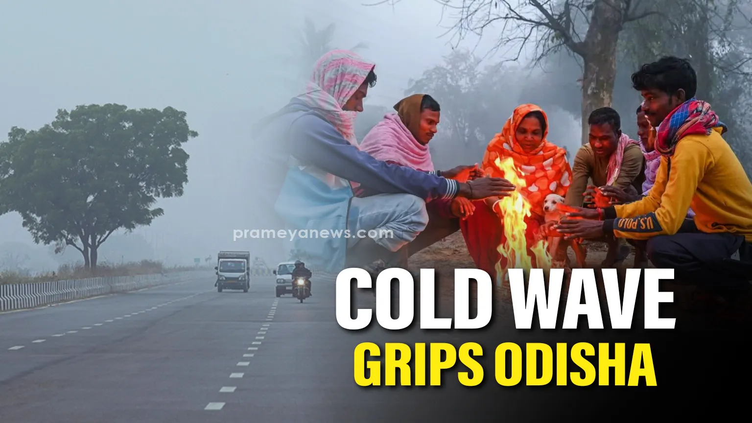 Cold wave grips Odisha; Mercury dips sharply across several districts