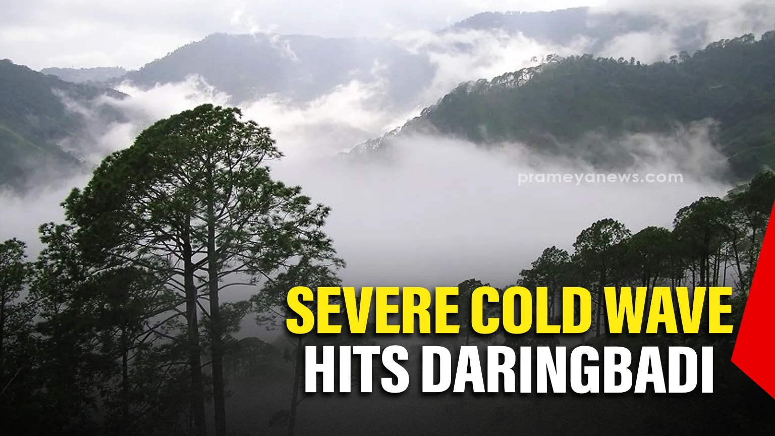 Severe cold wave hits Daringibadi, Temperature drops to 7.6°C

