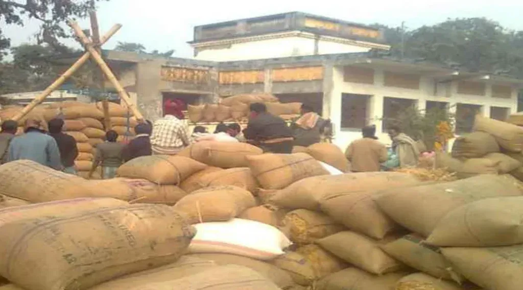 Odisha to begin Kharif paddy procurement on Nov 20