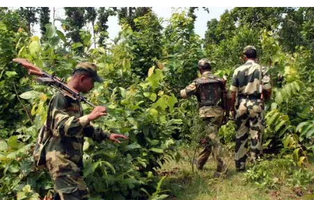 know-the-cities-where-rath-yatra-celebrated-outside-india