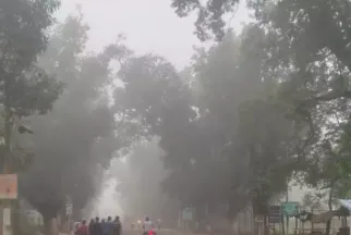 puri-rath-yatra-chariots-of-balabhadra-subhadra-reach-srigundicha-temple