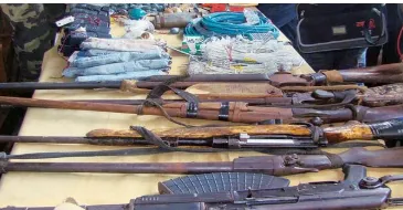 indias-first-ivf-calf-of-a-buffalo-born