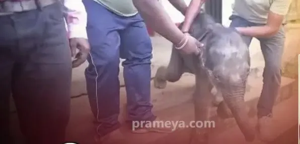 scb-stenographer-under-vigilance-scanner