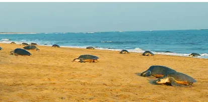 world-day-of-thinking-think-deep-but-think-simple-that-reflects-reality-and-axis-of-happiness